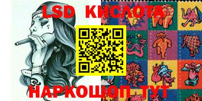 сатива Камышлов