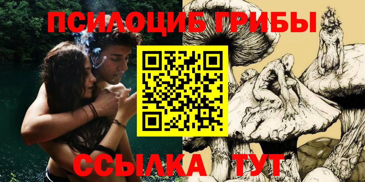 Псилоцибиновые грибы MAGIC MUSHROOMS  Вход с VPN  Янаул 