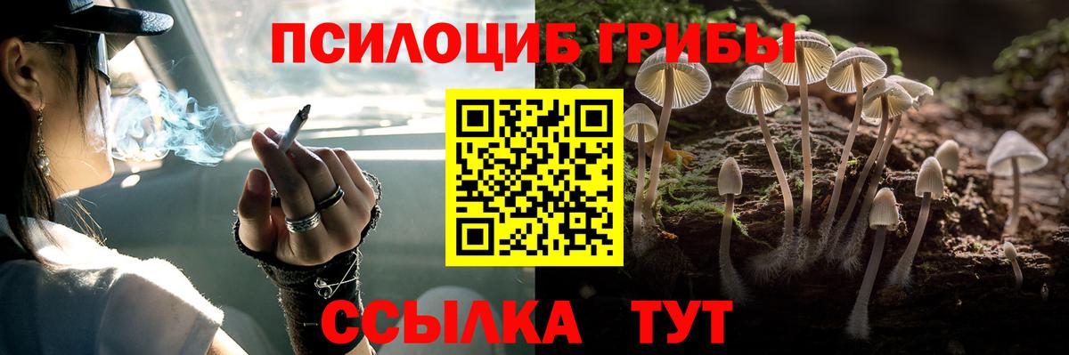 Псилоцибиновые грибы ЛСД Янаул
